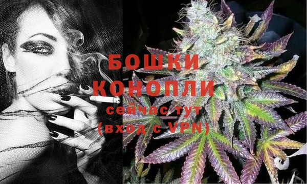 прущие грибы Беломорск