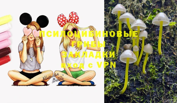 прущая мука Балахна